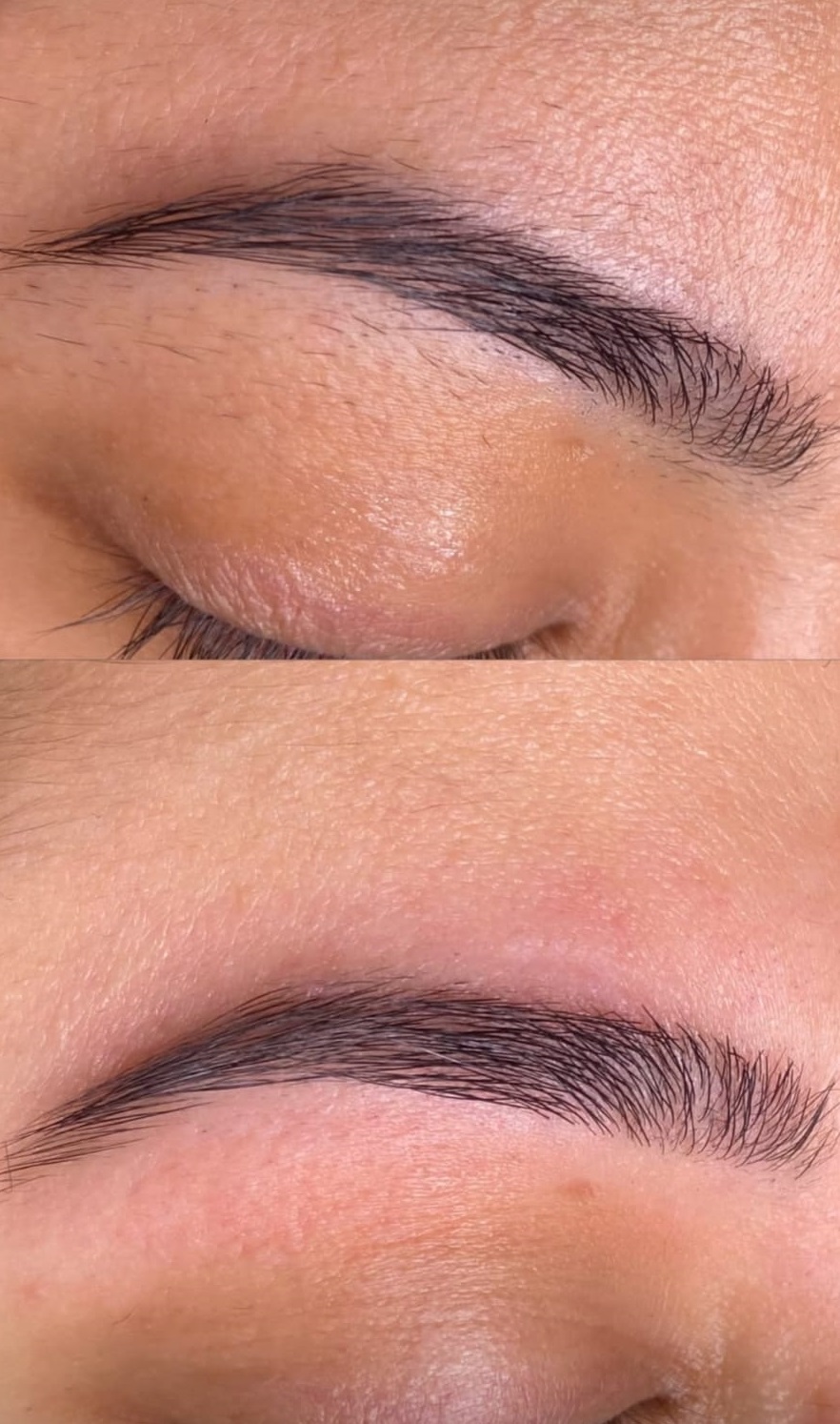 Altın oran ile düzenlenen kaş görseli